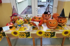 IMG_20221026_074009_1