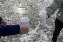 386872920_3784158648480124_6600650402126383689_n