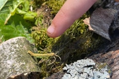 IMG-20260507-WA0011