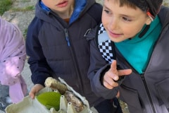 IMG-20260507-WA0047