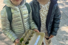 IMG-20260507-WA0048