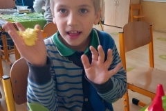 340795964_245899147907607_1270969646915887394_n